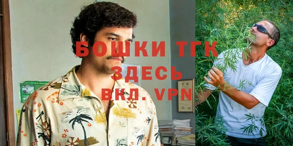 стаф Балахна