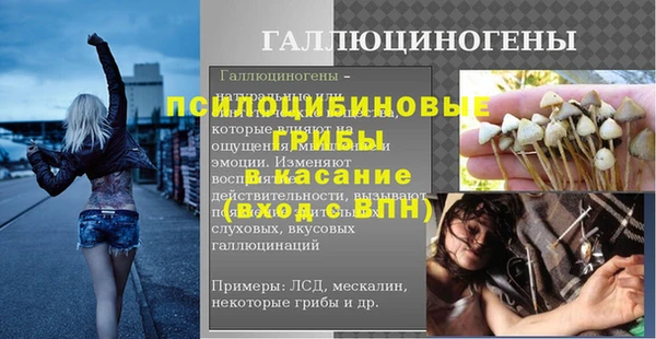 стаф Балахна