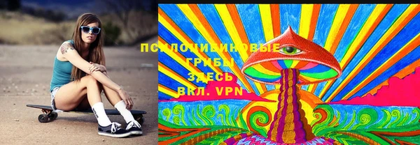 стаф Балахна