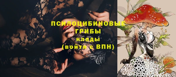 стаф Балахна
